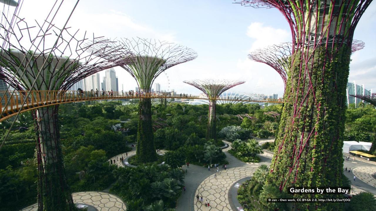 Diamond Hotel Singapore Eksteriør bilde